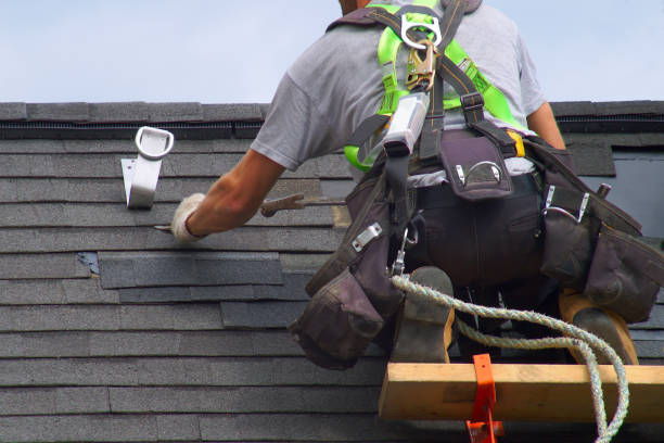 Best Roof Gutter Cleaning  in La Honda, CA