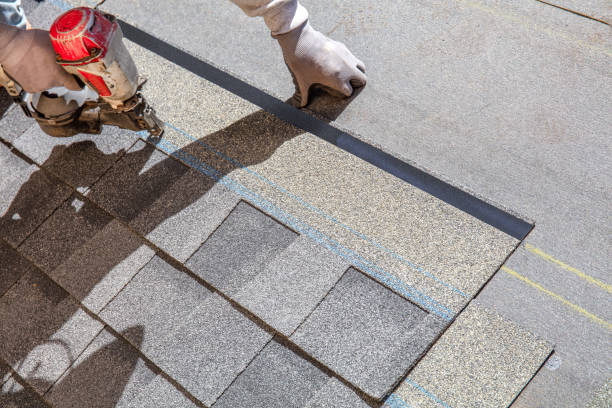 Best Roof Gutter Cleaning  in La Honda, CA